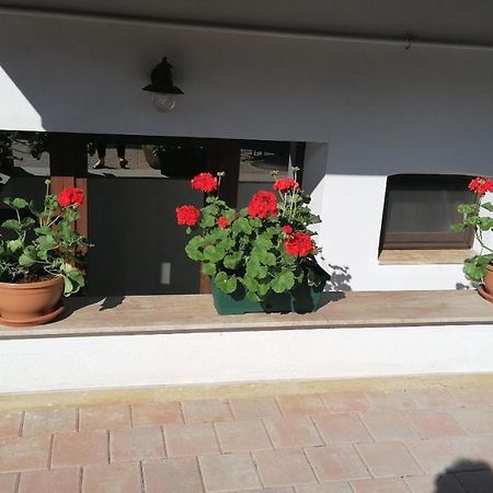Ana Boutique Bed and Breakfast Άλμπα Ιούλια Εξωτερικό φωτογραφία