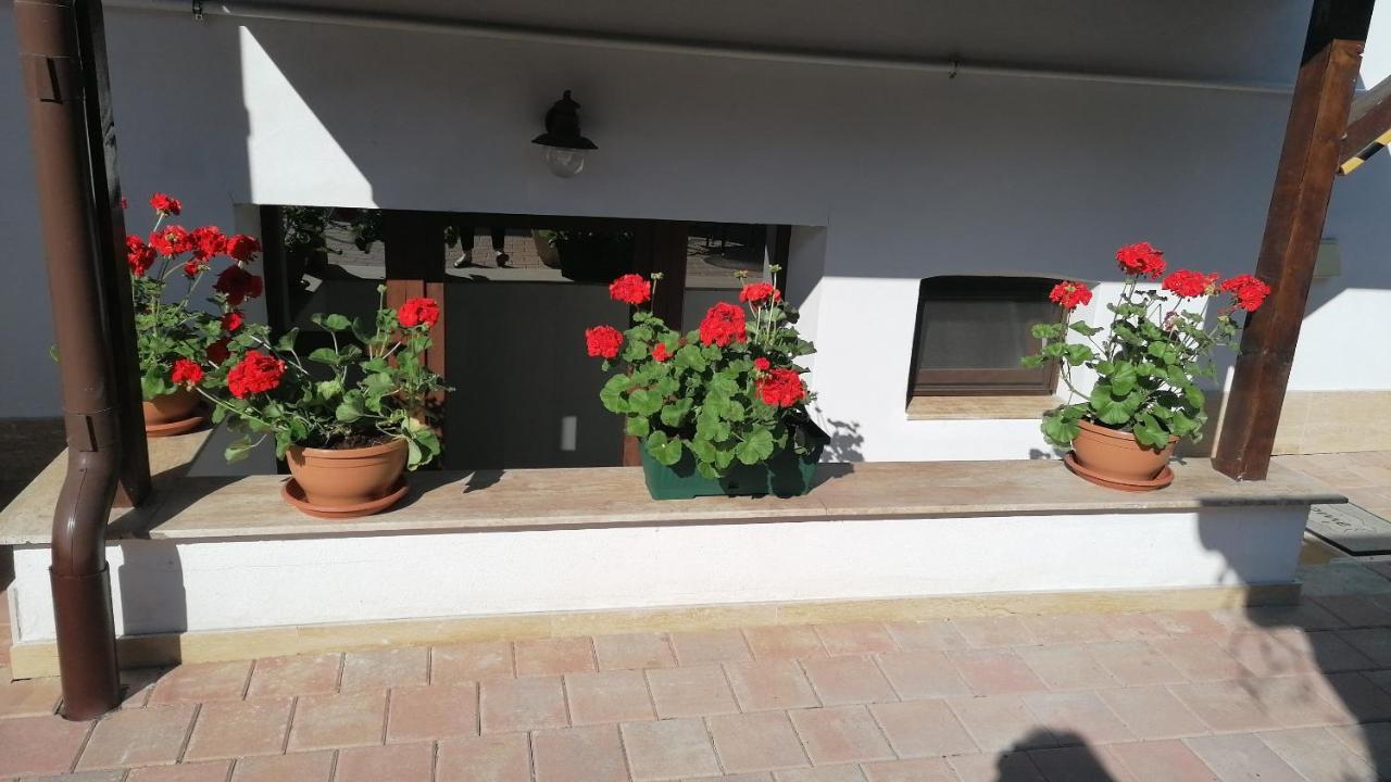 Ana Boutique Bed and Breakfast Άλμπα Ιούλια Εξωτερικό φωτογραφία